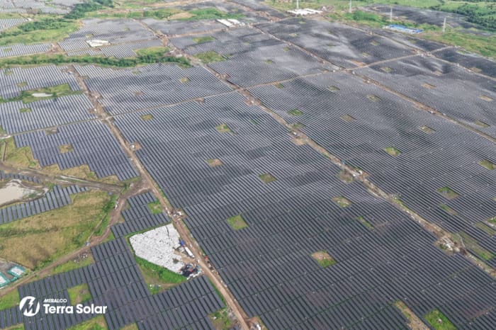 Ｍテラ・ソーラーの事業地の様子