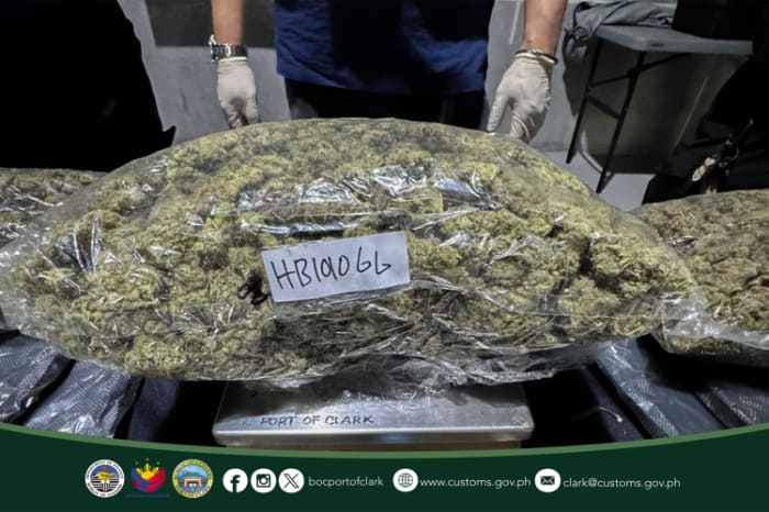 クラーク港で摘発された高級大麻「クシュ」(資料写真)