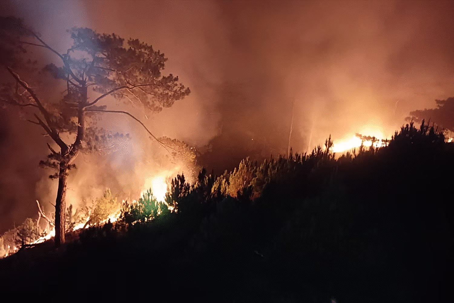 カブニアン山で発生した山火事