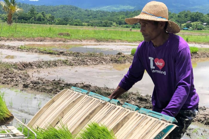 田植えをする農家