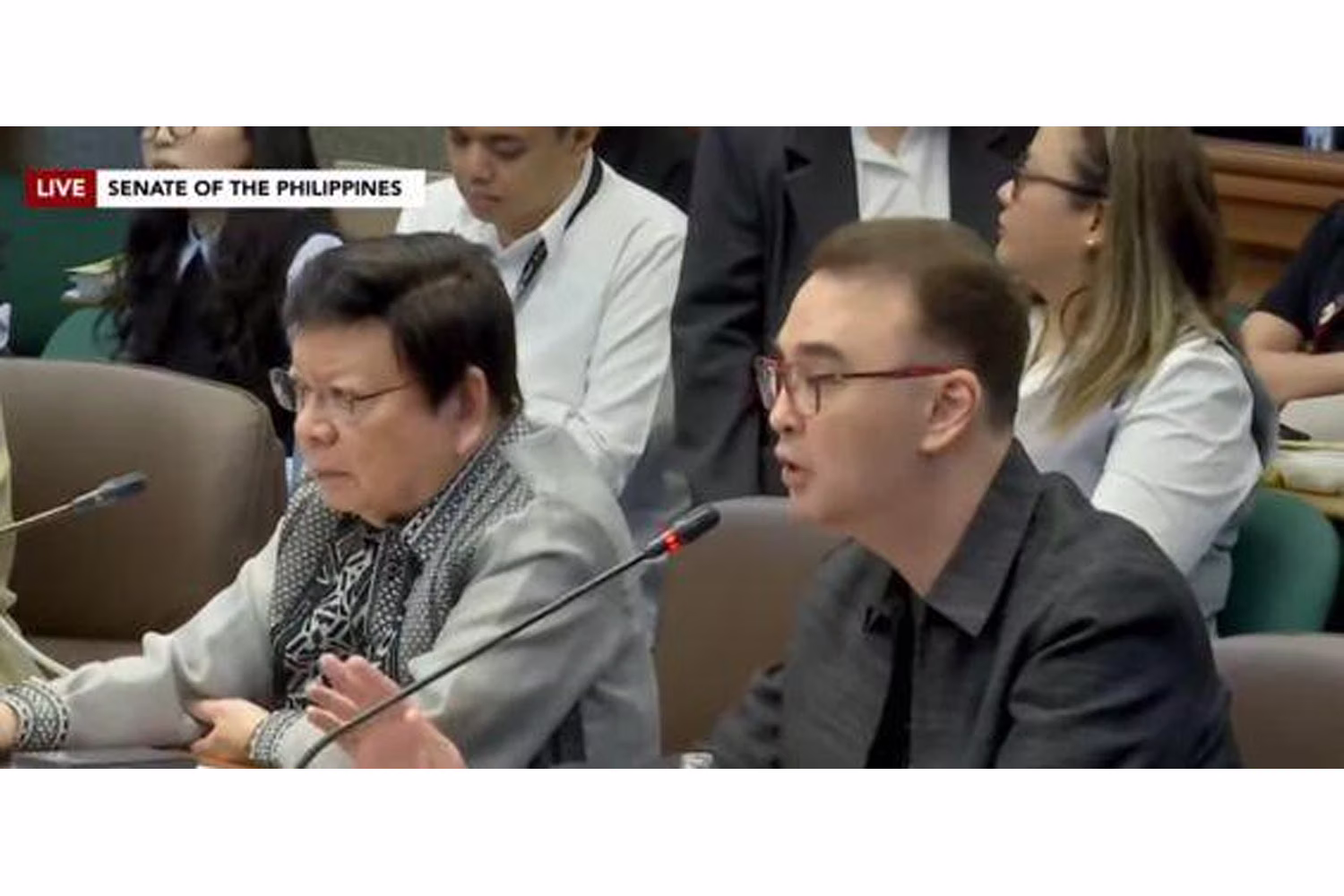 Screenshot of the Senate Blue Ribbon Committee hearing on Thursday