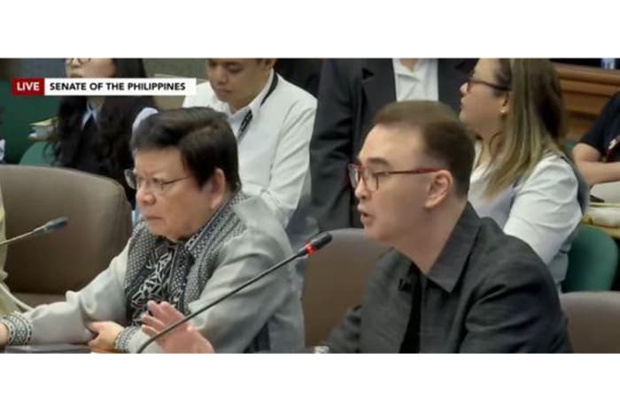 Screenshot of the Senate Blue Ribbon Committee hearing on Thursday