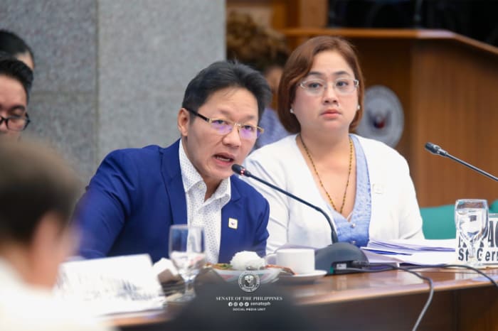 上院ブルーリボン委員会で証言するディスカヤ容疑者と妻のセザーラ容疑者