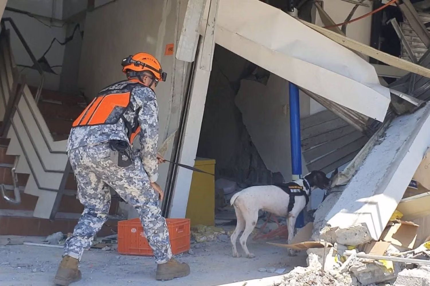 被災地で探知犬を使った救助活動に当たる沿岸警備隊員