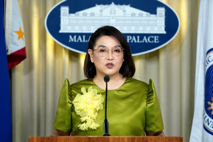 大統領府のカストロ報道官