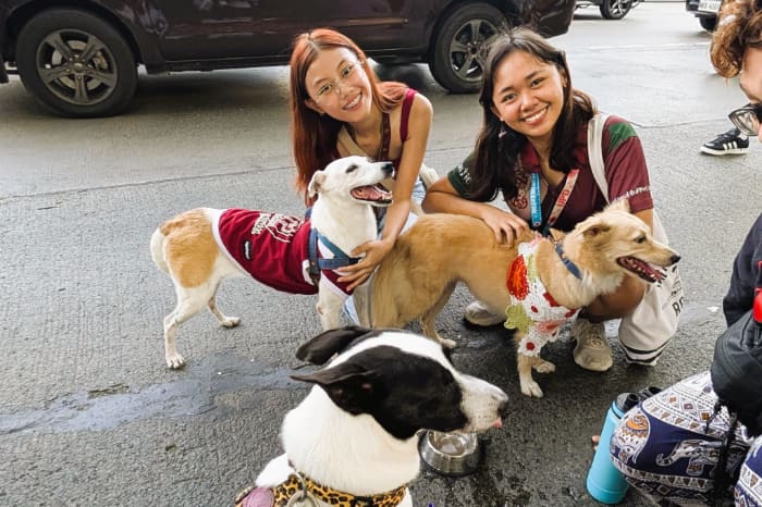 キャンパス犬と合同散歩を行う市民・学生ら