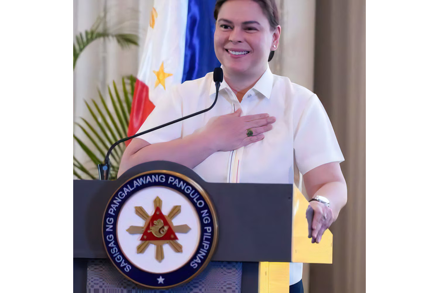 サラ副大統領