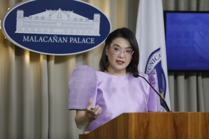 大統領府のカストロ報道官