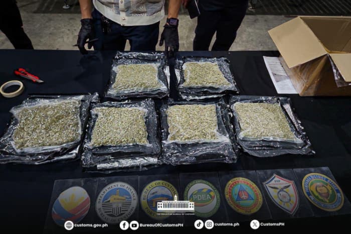 クラーク港で摘発された大麻