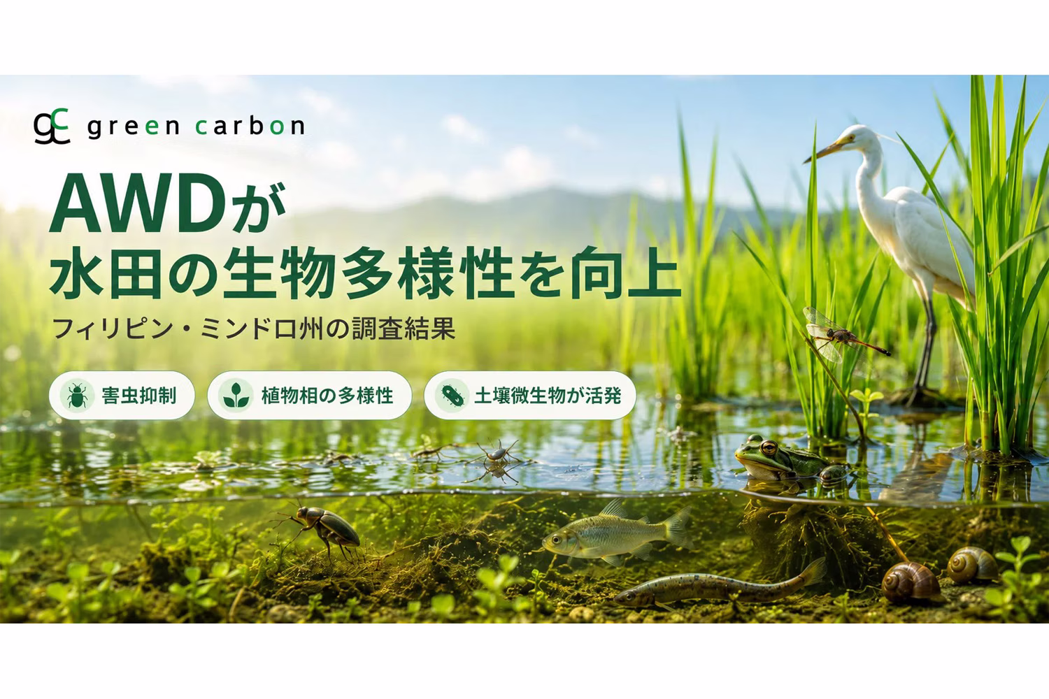 Green Carbonのプレスリリースより
