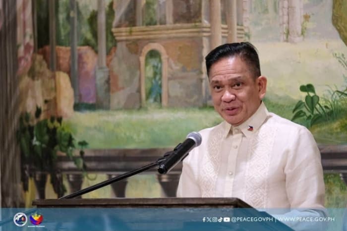 大統領和平顧問室のサルミエント顧問