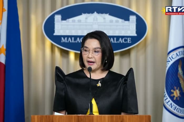 大統領府のカストロ報道官