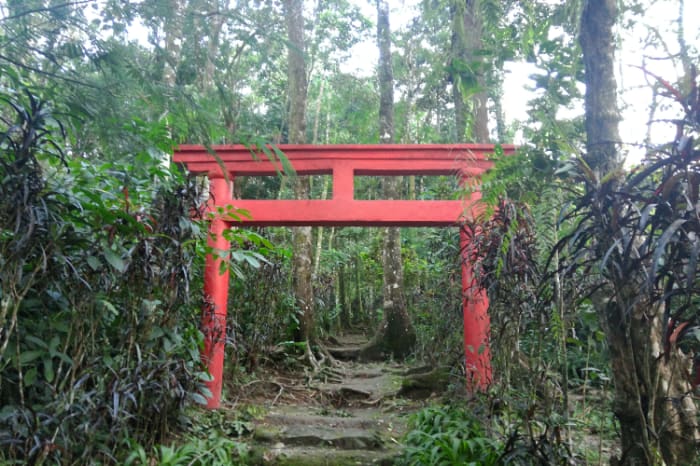 パタグ山の霊廟に立つ鳥居、土居潤一郎さんの遺骨もこの地に眠る