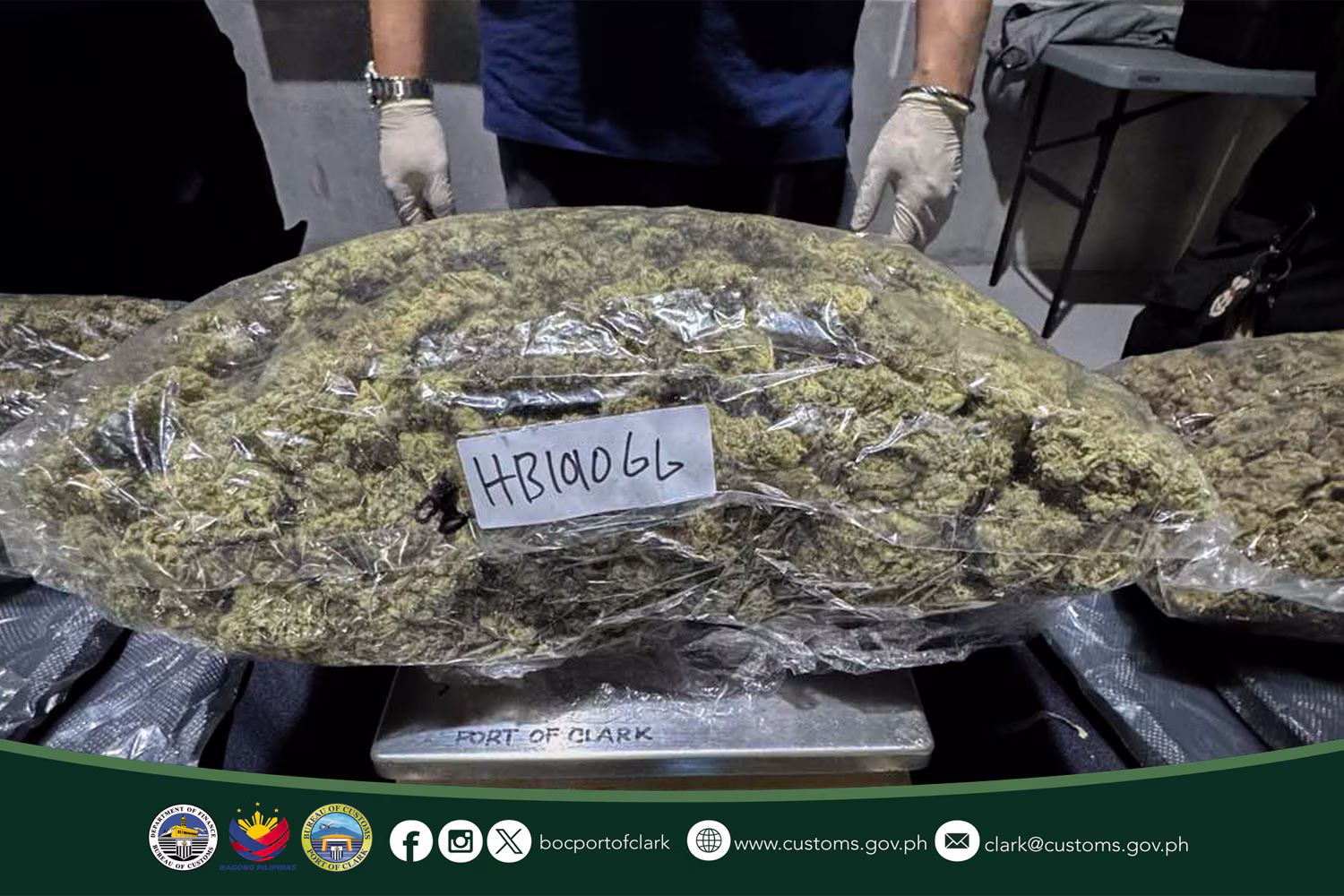 クラーク港で摘発された高級大麻「クシュ」（資料写真）